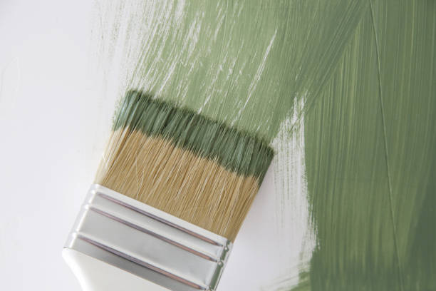 Best Environmental Consulting for Mold Prevention  in Timber Pines, FL