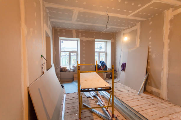 Best Mold Damage Restoration  in Timber Pines, FL